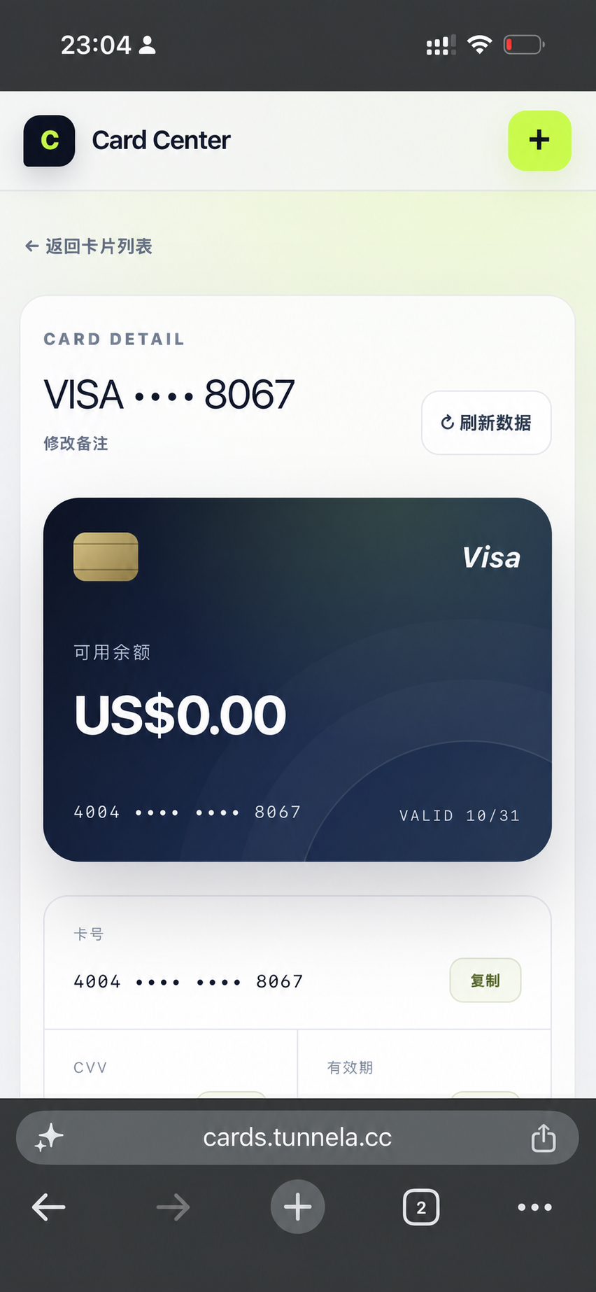 已脱敏的虚拟 Visa 卡详情、余额和卡号管理界面